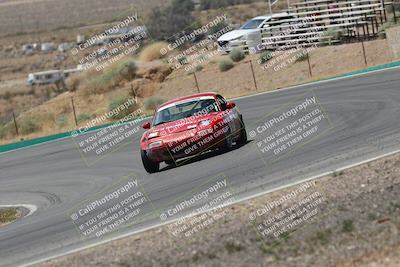 media/May-03-2025-Lucky Dog Racing (Sat) [[206de64b9d]]/Turn 4 B (1150am-130pm)/